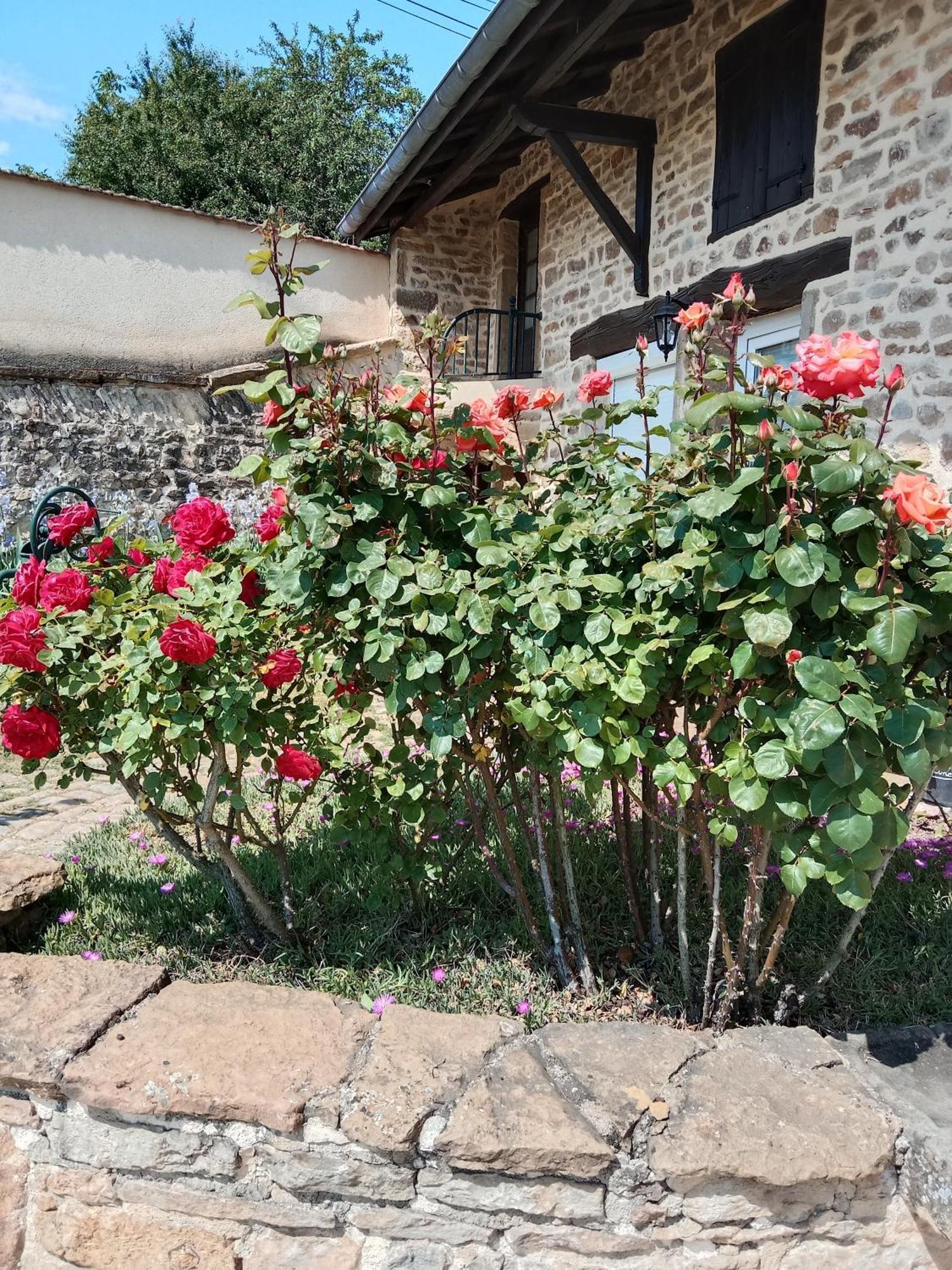 L Olivier De St Leger Bed & Breakfast Chateau  Dış mekan fotoğraf